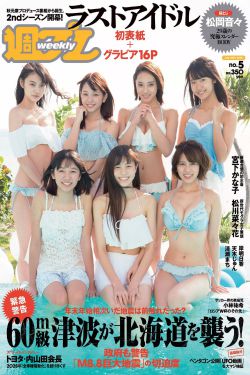 皇叔撞着小公主的小说叫什么
